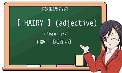 hairy 意味|More.